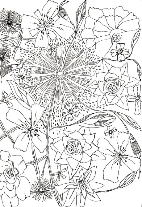 https://jiteshpatel.co.uk/wp-content/uploads/sketch-book-flower-illustration-pen-ink.jpg