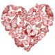 Valentines Butterfly Heart Illustration